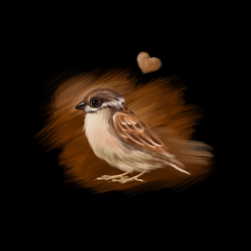 sparrow