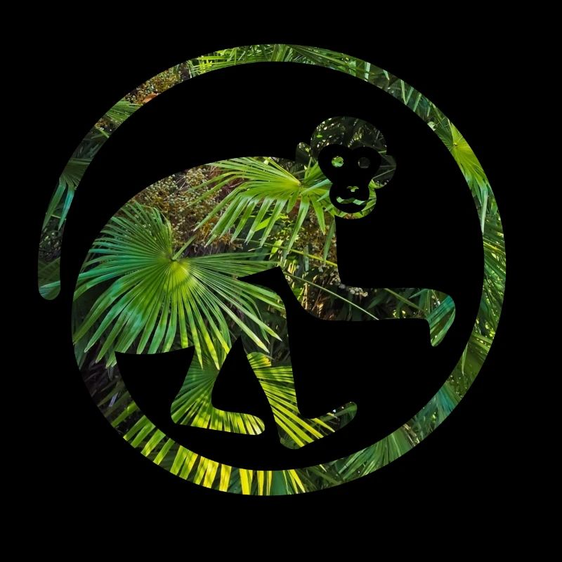 Singe dans le singe de la jungle