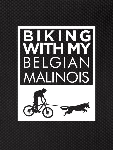 Belgian Malinois cycling
