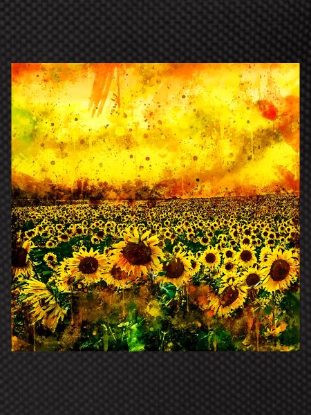 abstract sunflowers wsstd