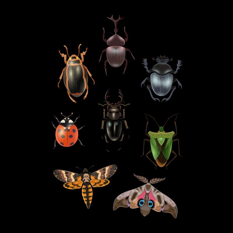 Moth Insects Butterfly Bedbug Insect Gift