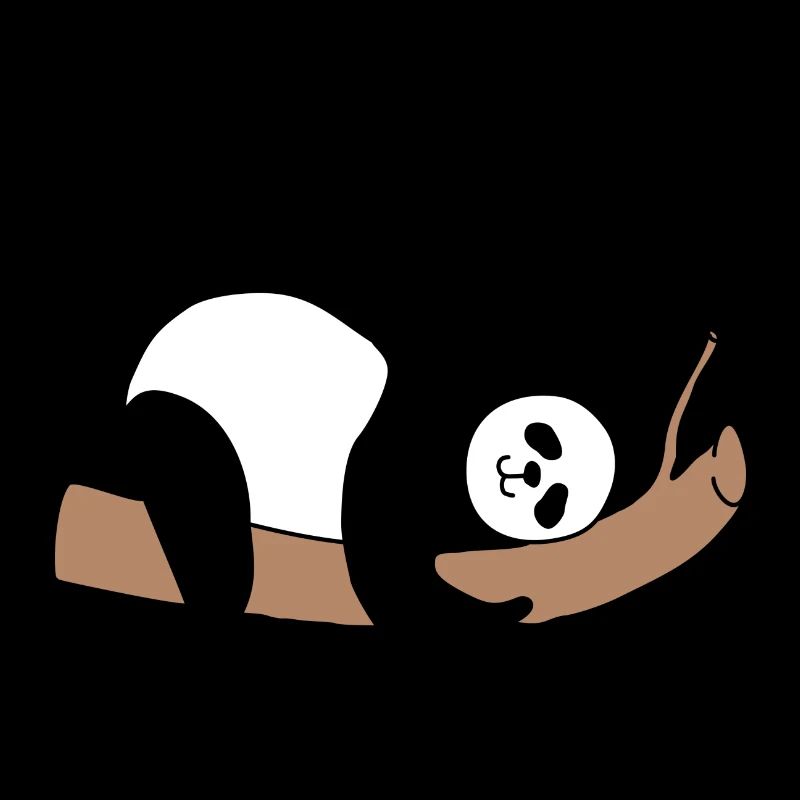 Funny Panda Bamboo Sleeping Sleep Gift