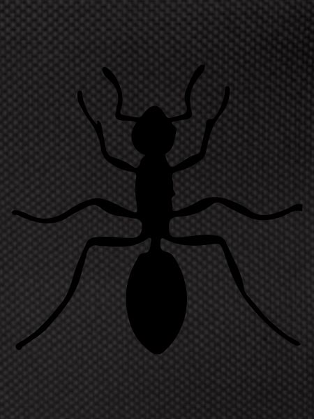 ant