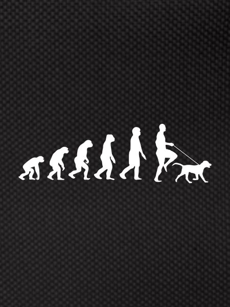 Labrador Evolution