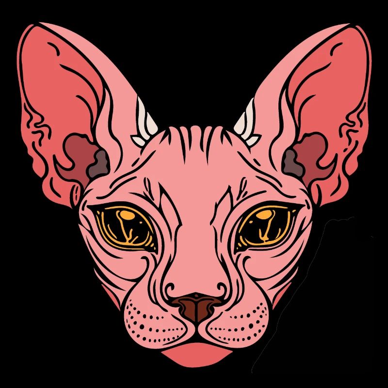 Sphinx Cat