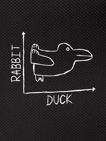 Rabbit Duck