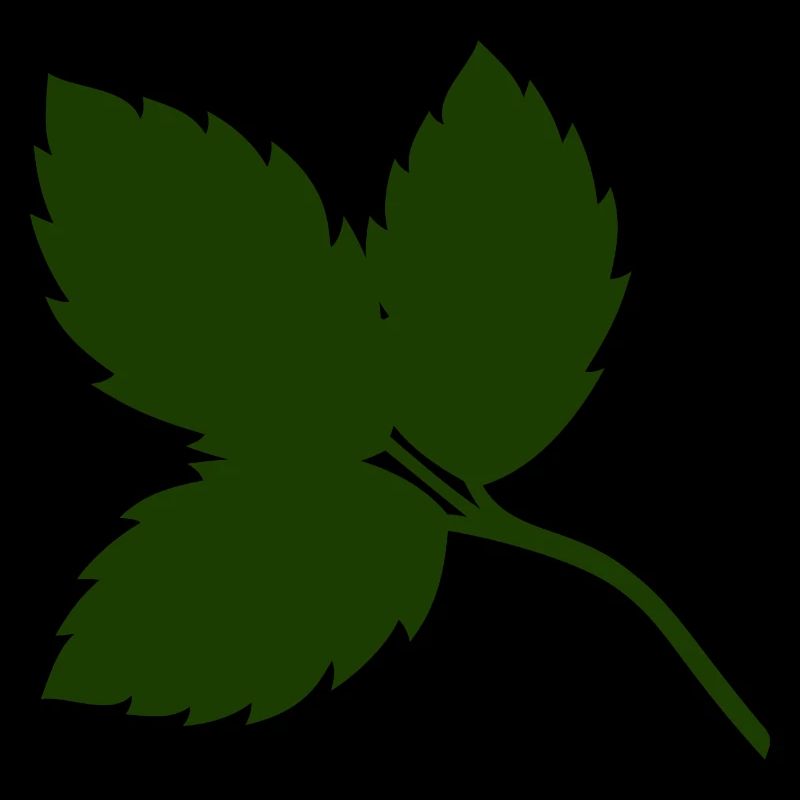 Rosenblätter 2