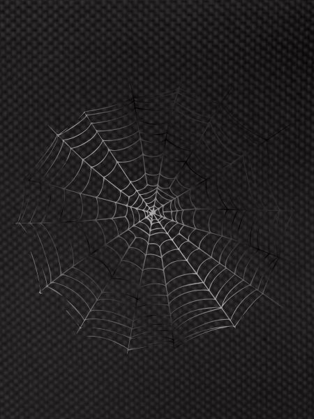 Smiley Spiderweb