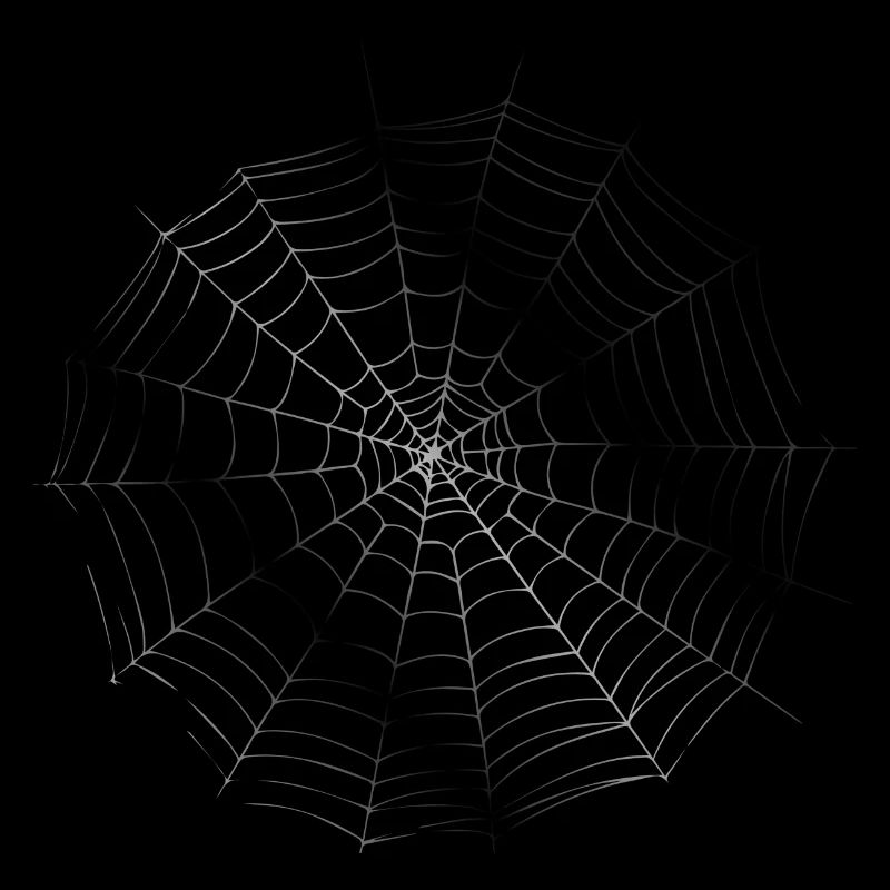 Smiley Spiderweb