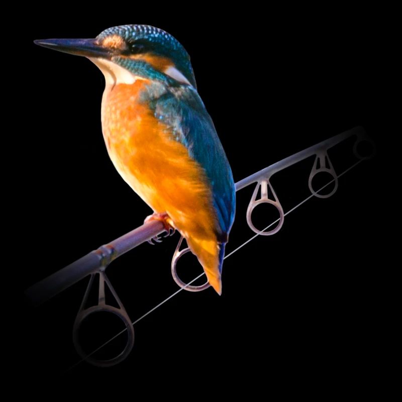 Oiseau de glace sur une canne à pêche