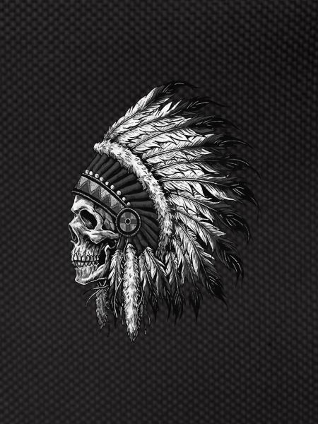 Native American Indian Skull