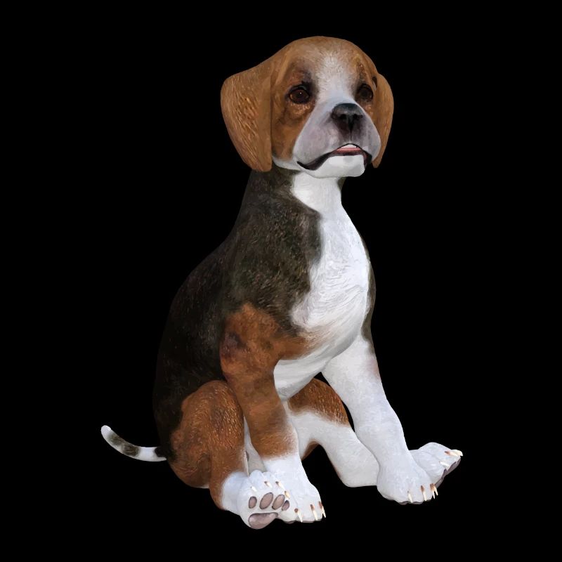 Beagle puppy