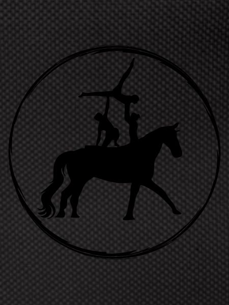 Vaulting horse