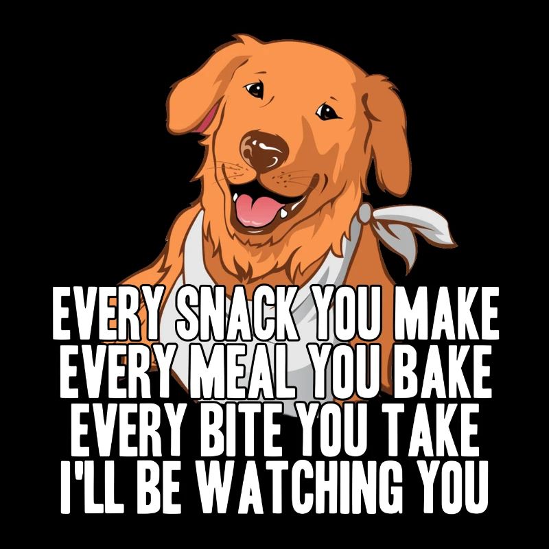 Labrador