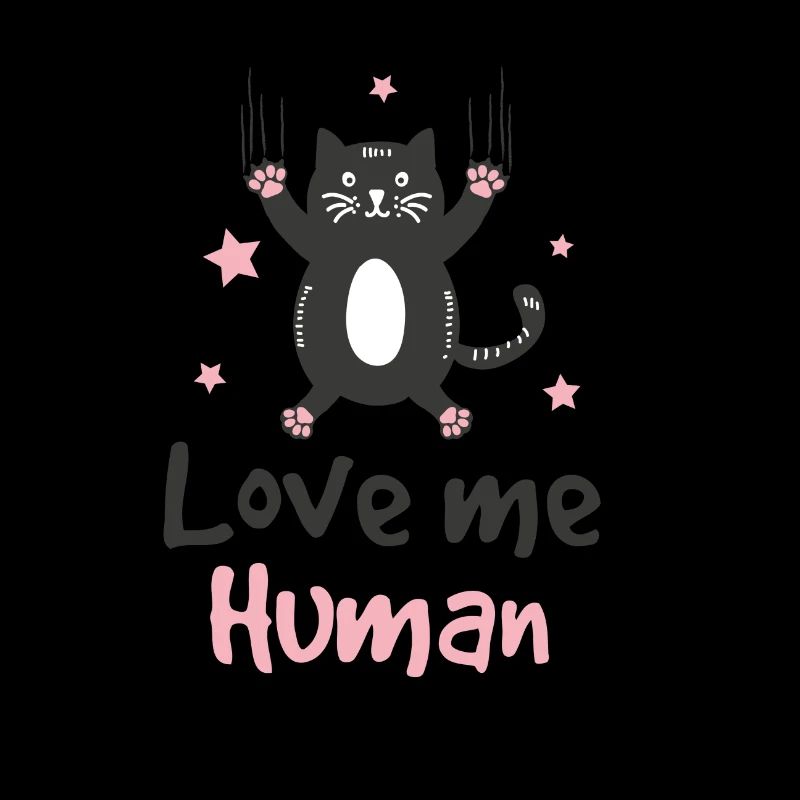 Chat chaton mignon drôle