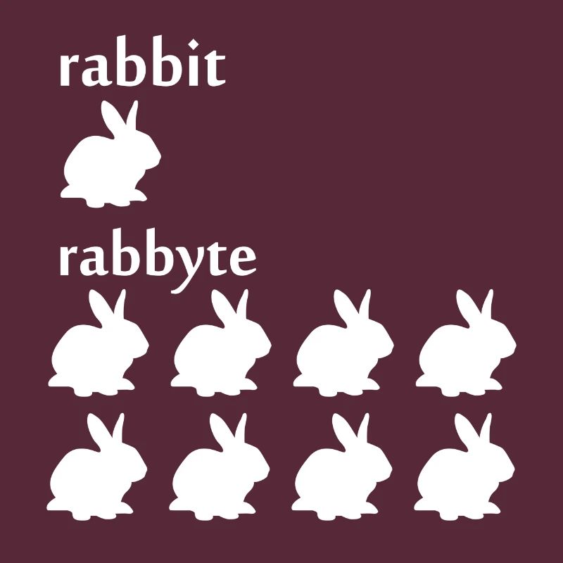 Programmer computer scientist byte rabbit gift