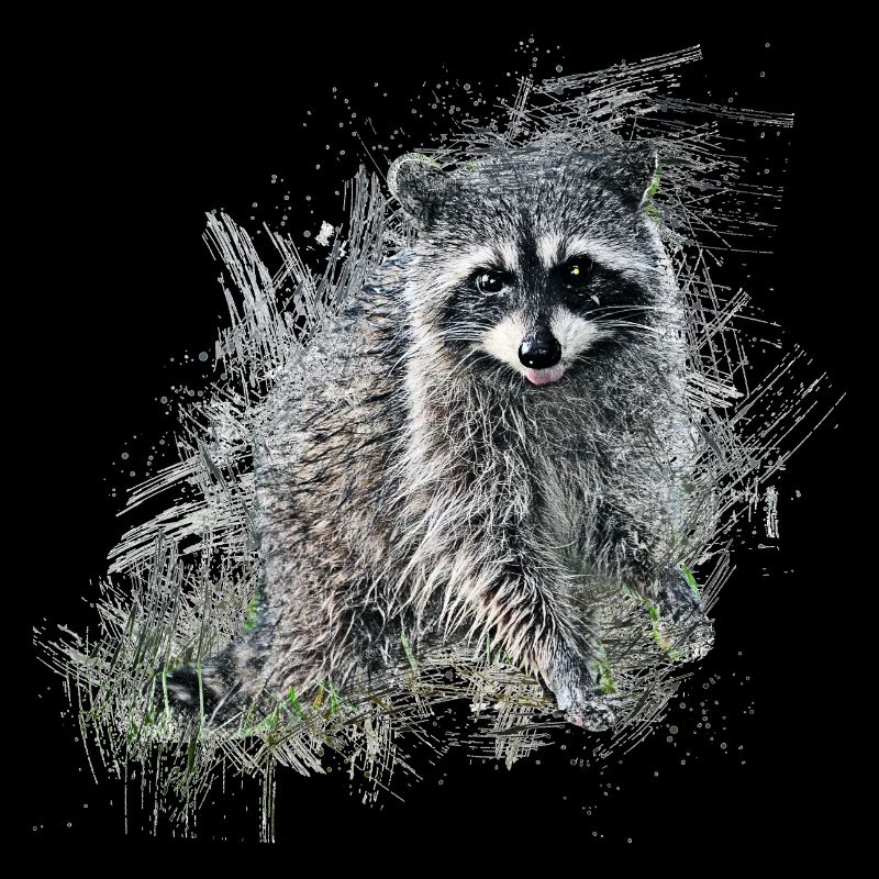 Waschbär