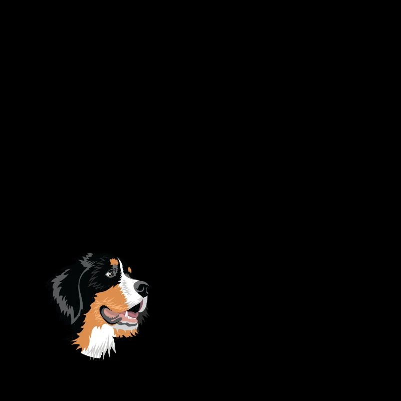 Berner Sennenhund