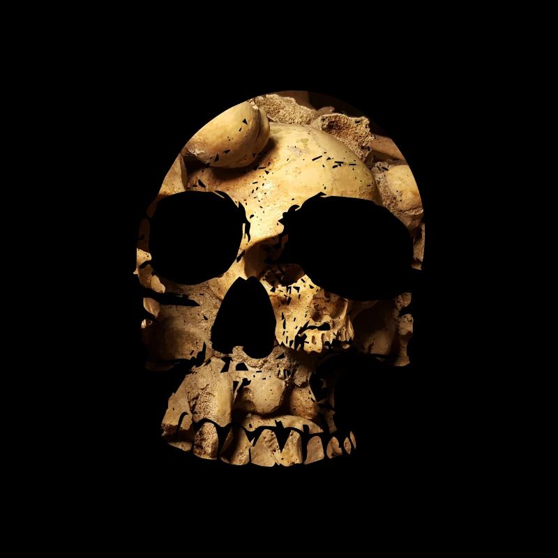 Skull Skulls 2
