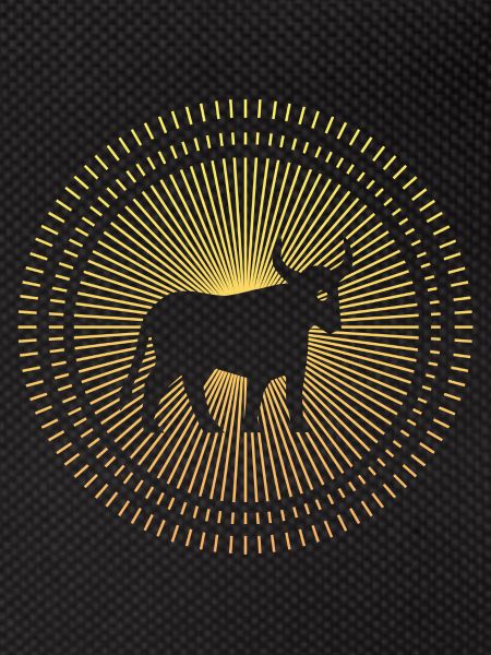 Stier als Sternzeichen