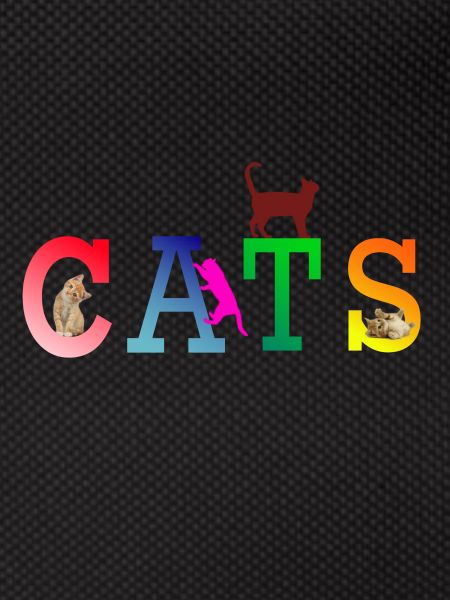 Cats