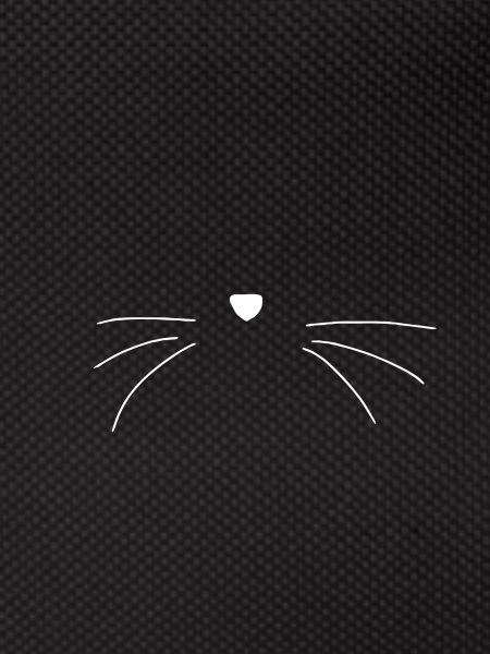 Cat whiskers