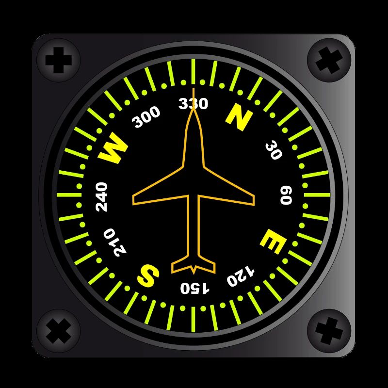 Flugzeugkompass