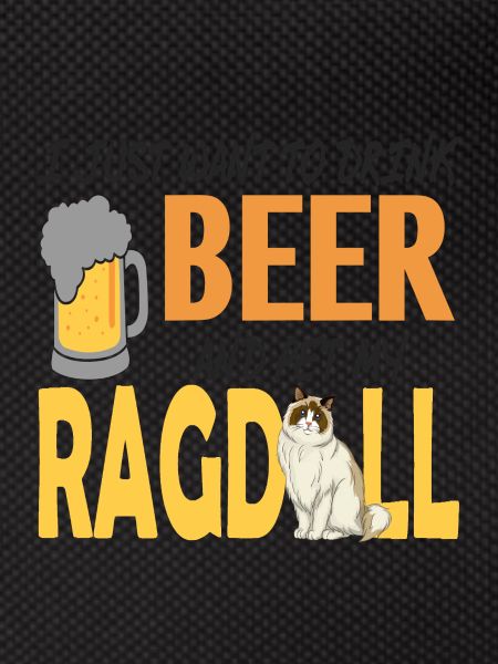 Ragdoll cat