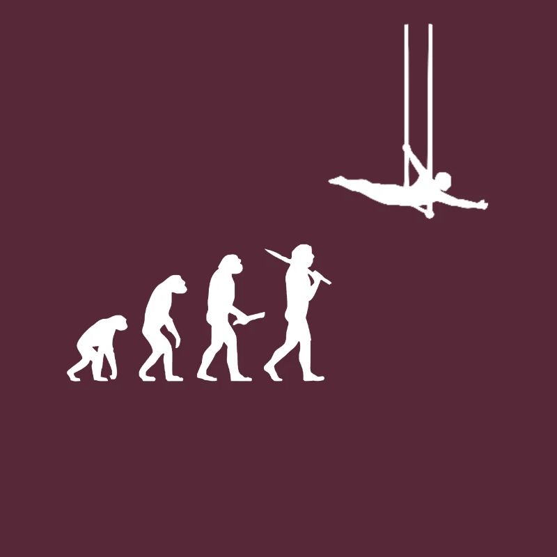 Evolution flying trapeze acrobat gift idea