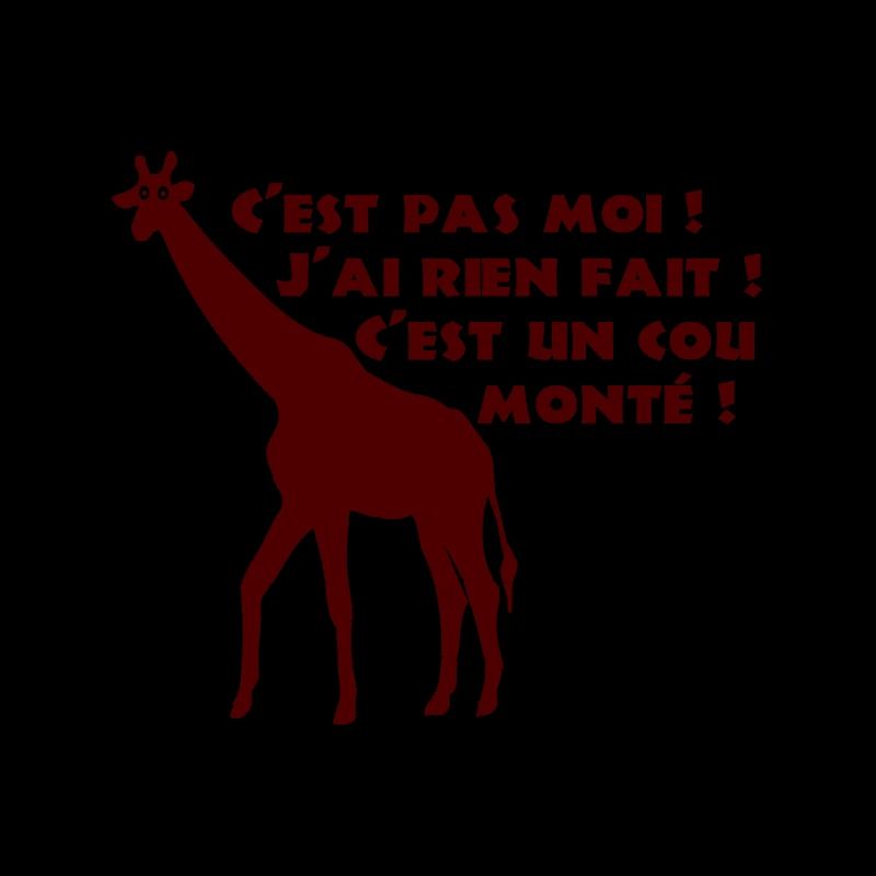 C'EST PAS MOI, J'AI RIEN FAIT, C'EST UN COU MONTÉ