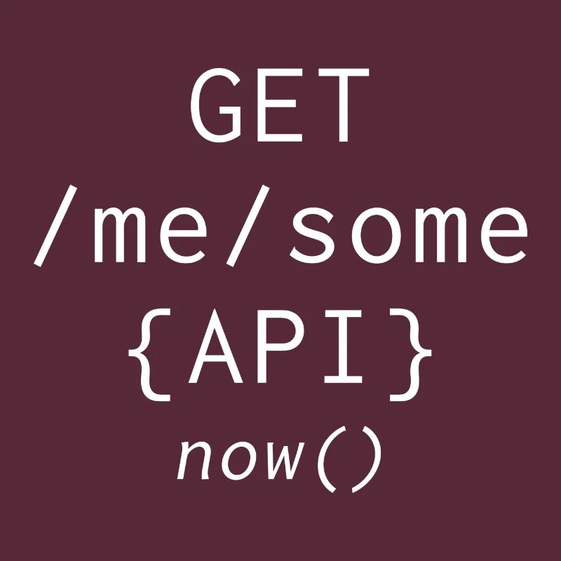 Api Programming Informatic Geschenk Spruch
