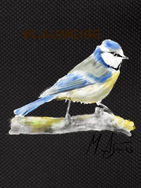 Blaumeise