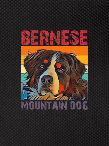 Bernese Mountain Dog