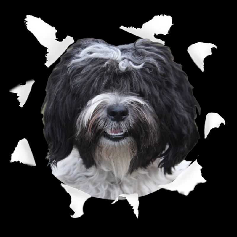 Tibet Terrier - Tibet Terrier Dog