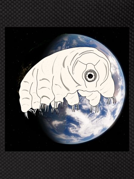Tardigrade