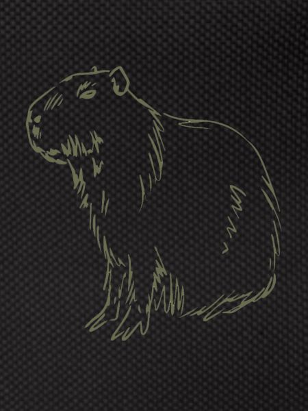 Capybara
