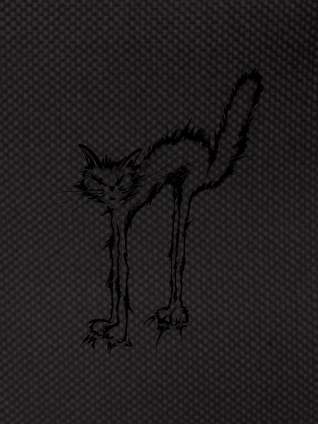 wildcat