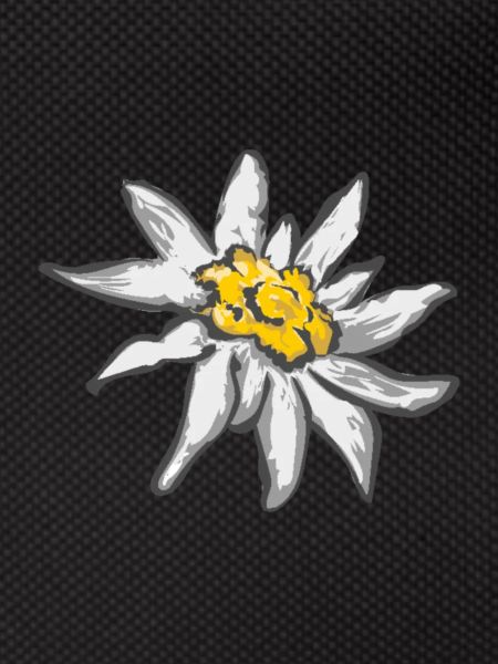 edelweiss