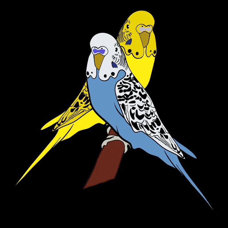 Perruches bleu jaune amoureux