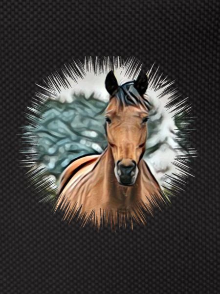 Cheval