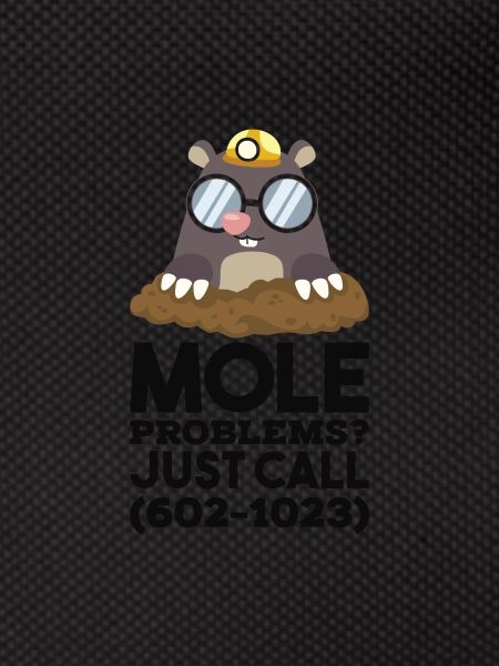 Chimie Mole Mole Chimie