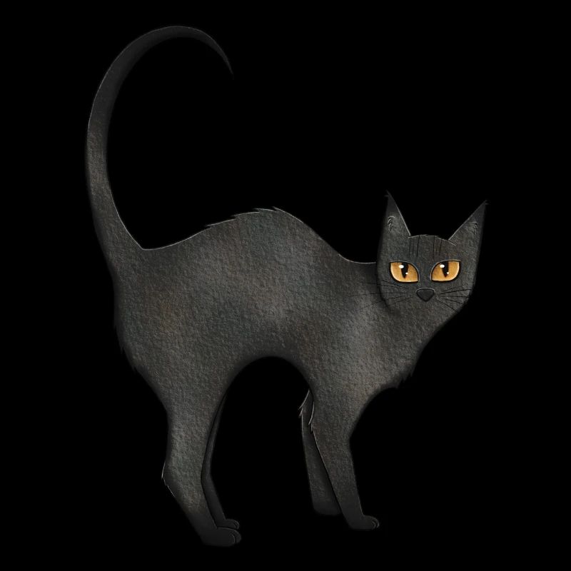 Katze Schwarz