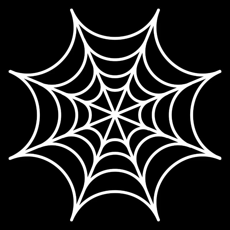 Spider web| Halloween original gift beautiful