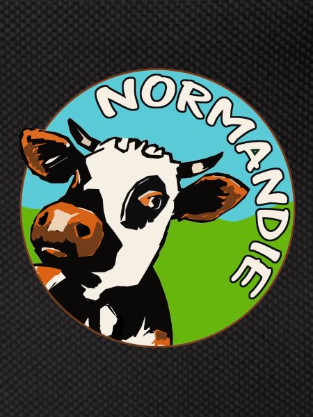 Norman cow