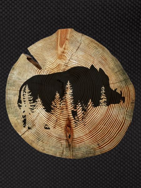 Tree disc wild boar