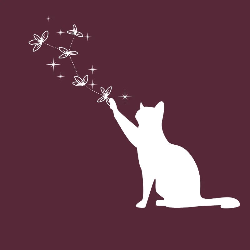 Starry Magic Cat