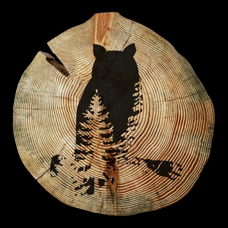 Arbre Disc Owl