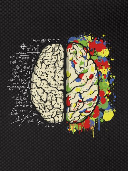 Mathématiques du cerveau