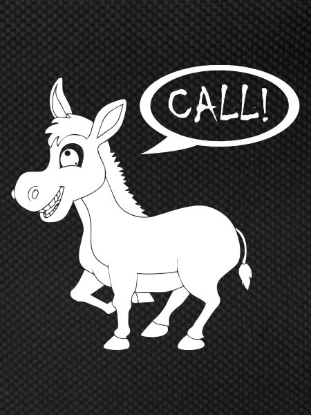 Donkey Esel