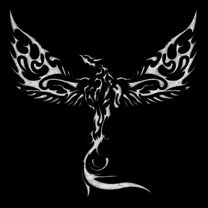 Eagles-Eagles-Eagles-Eagles-Bird-Bird